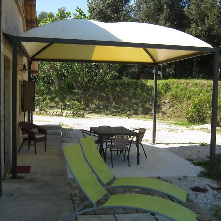 דירות Monterubbiano Bb Fonterrante מראה חיצוני תמונה